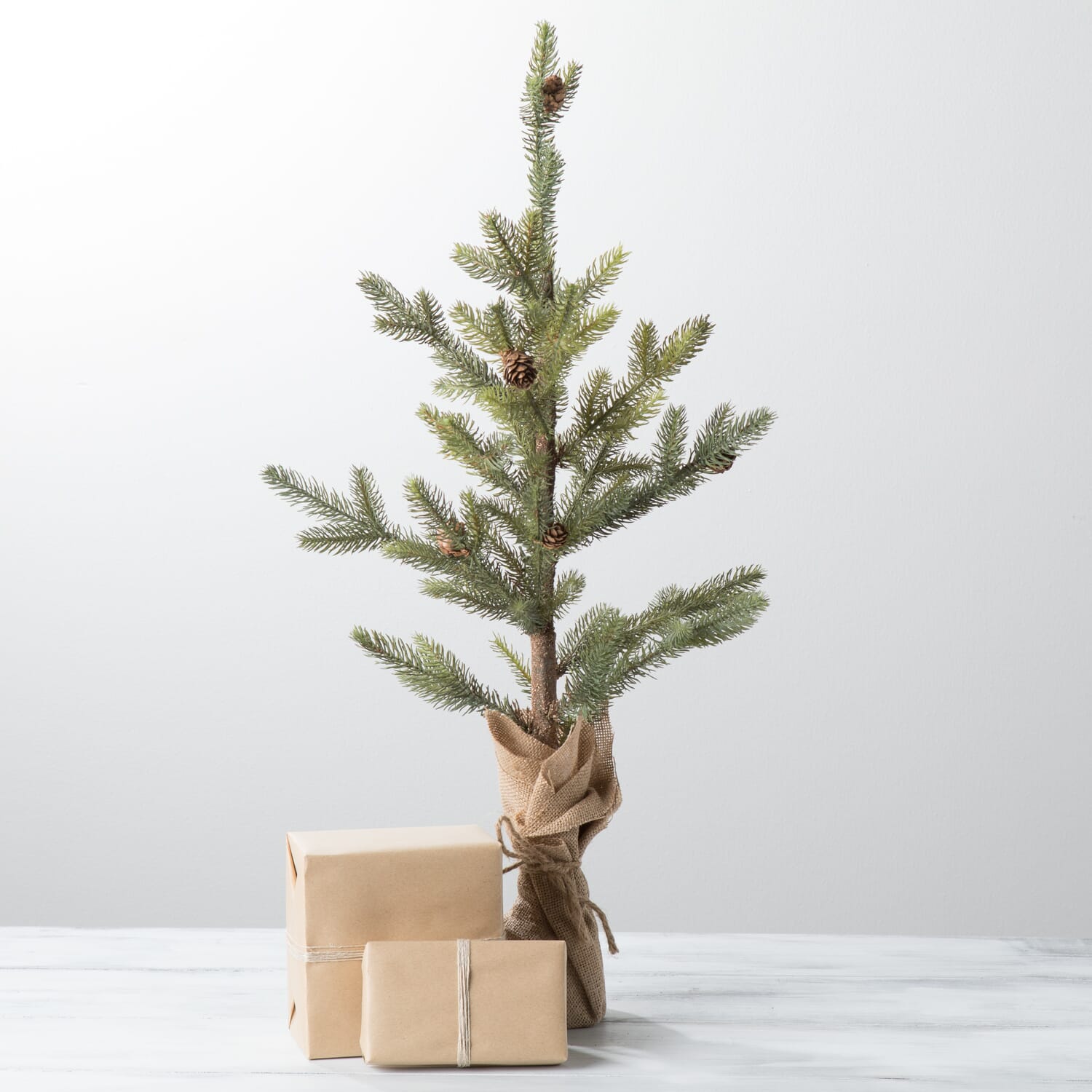Large Burlap Wrapped Pine Tree - August Haven