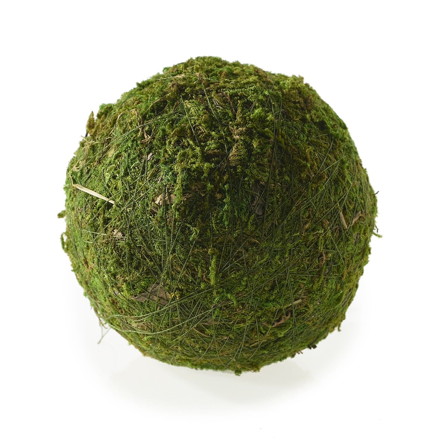Moss Sphere - 4"