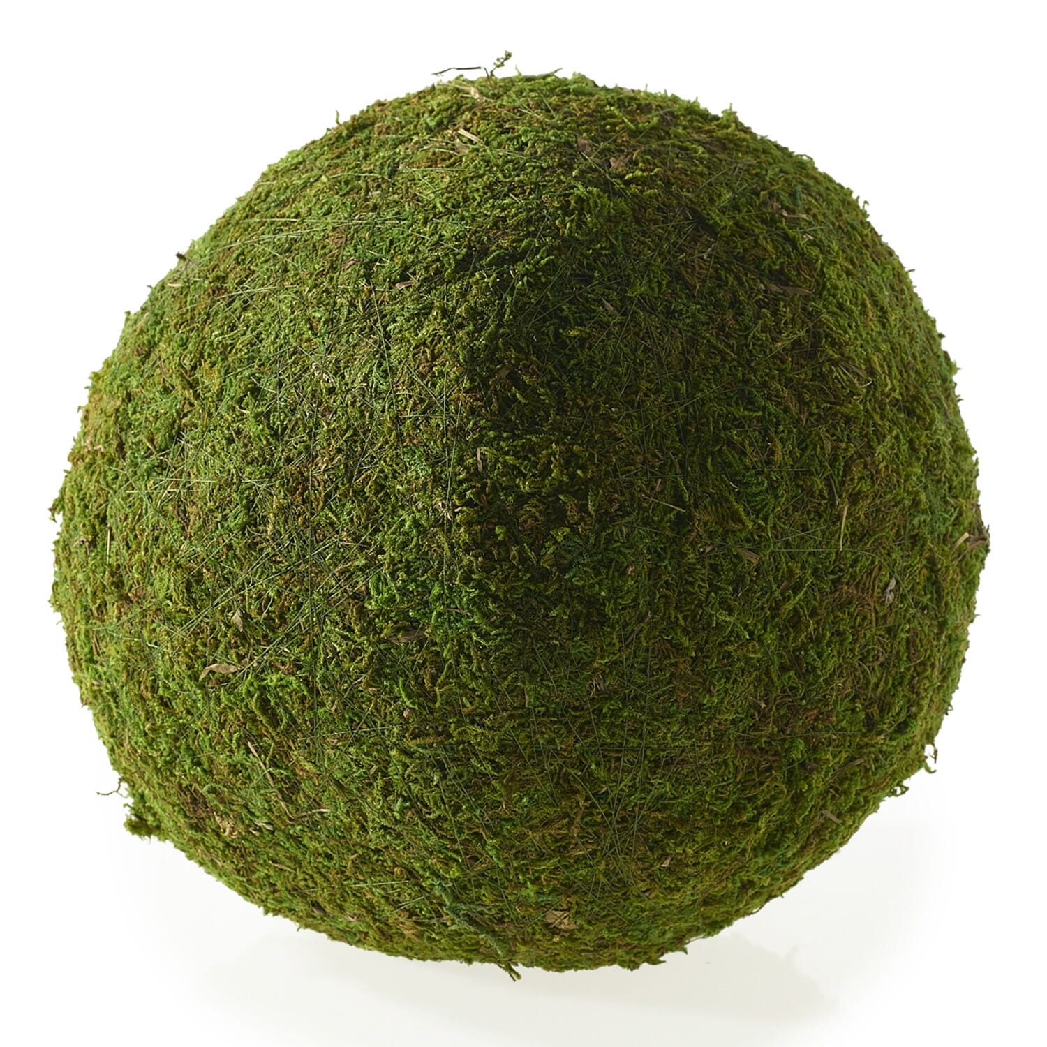 Moss Sphere - 10"