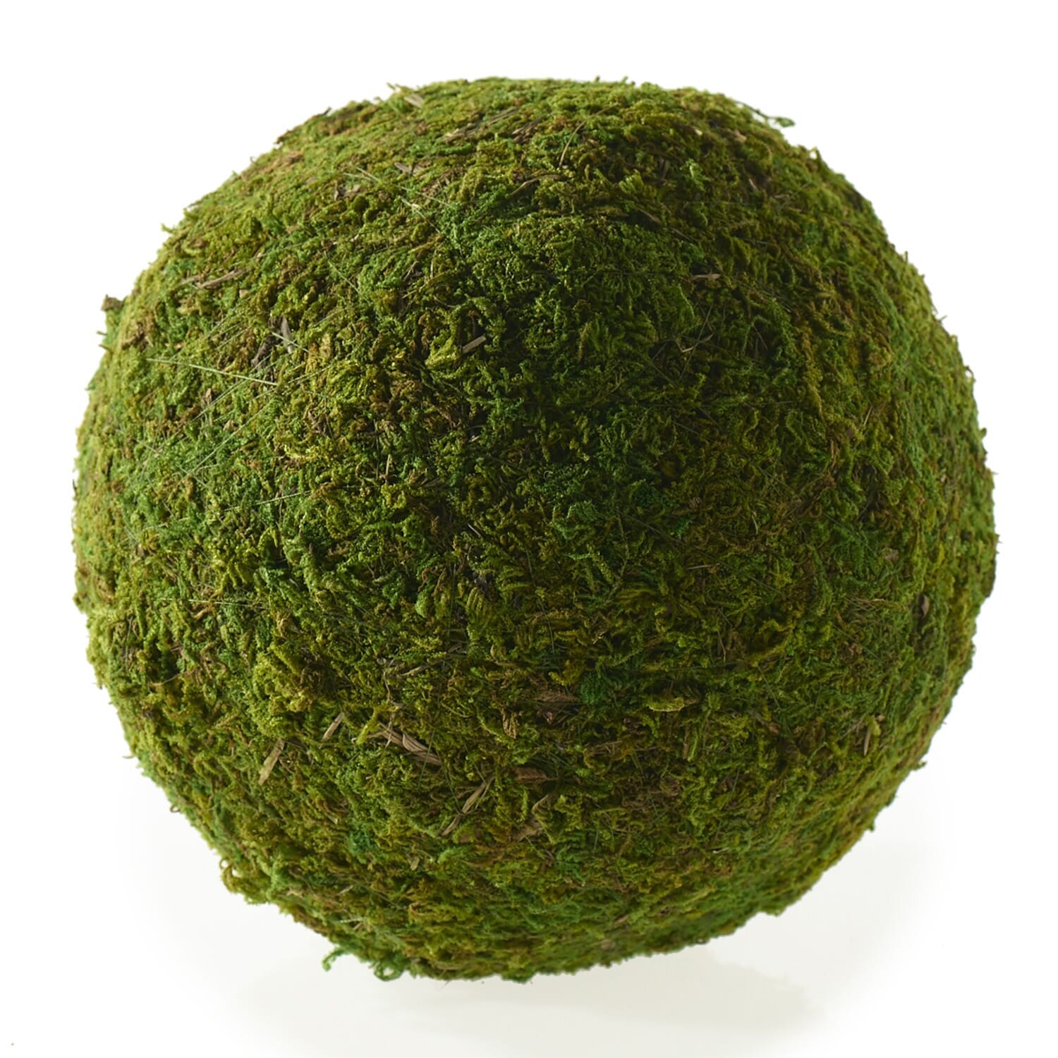 Moss Sphere - 8"