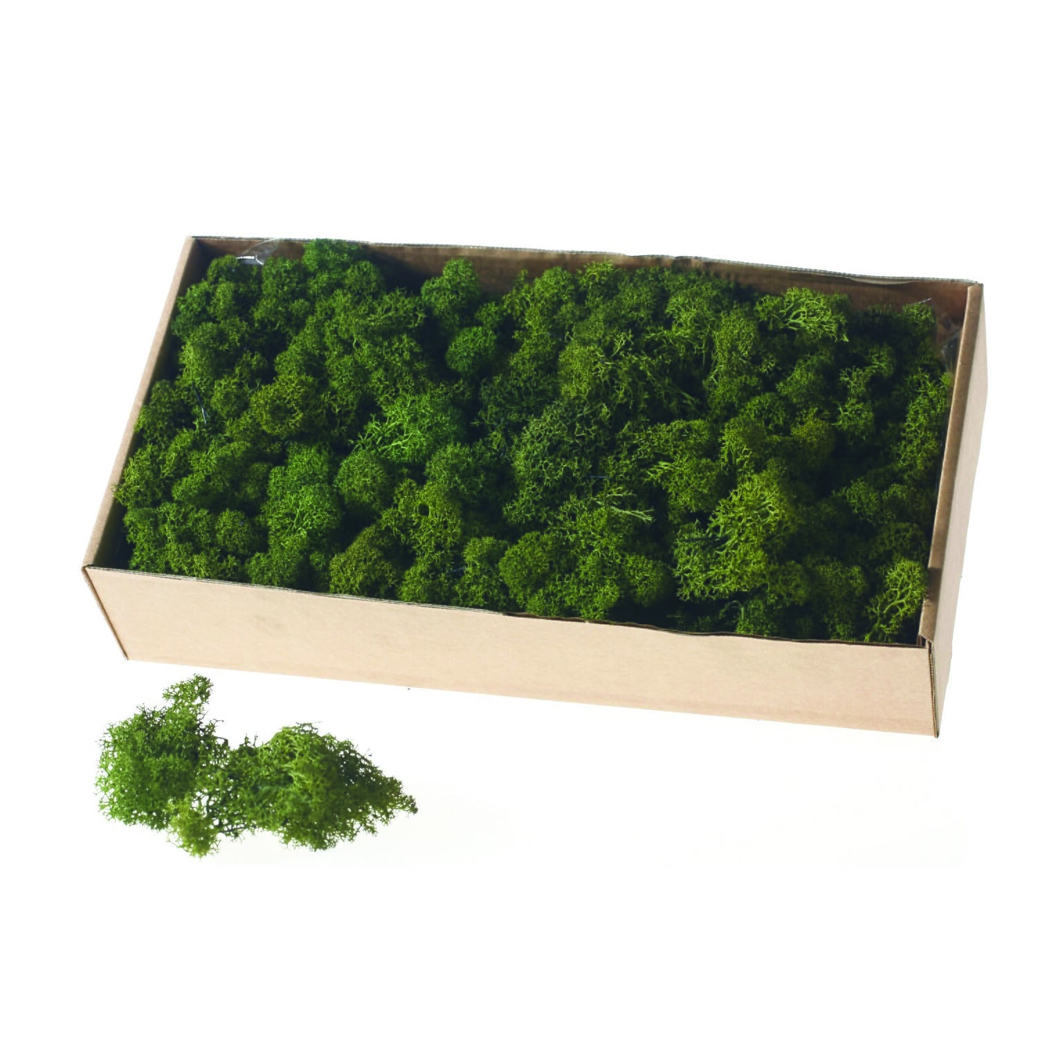 Box of Moss - Moss Green