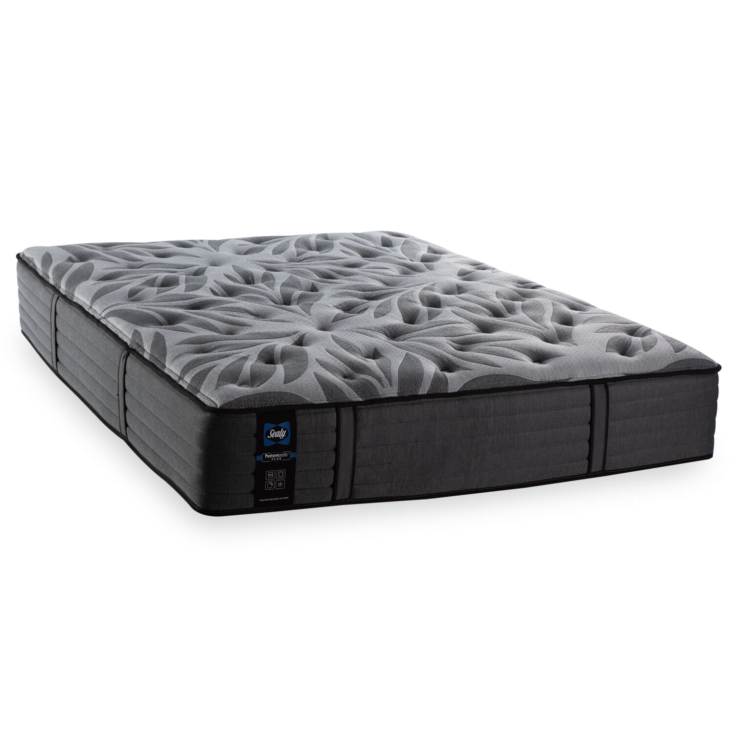 sealy clearview plush mattress