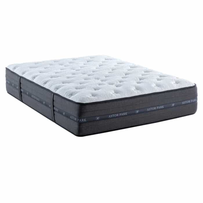 Astor Park Tranquility Plush Twin XL Mattress