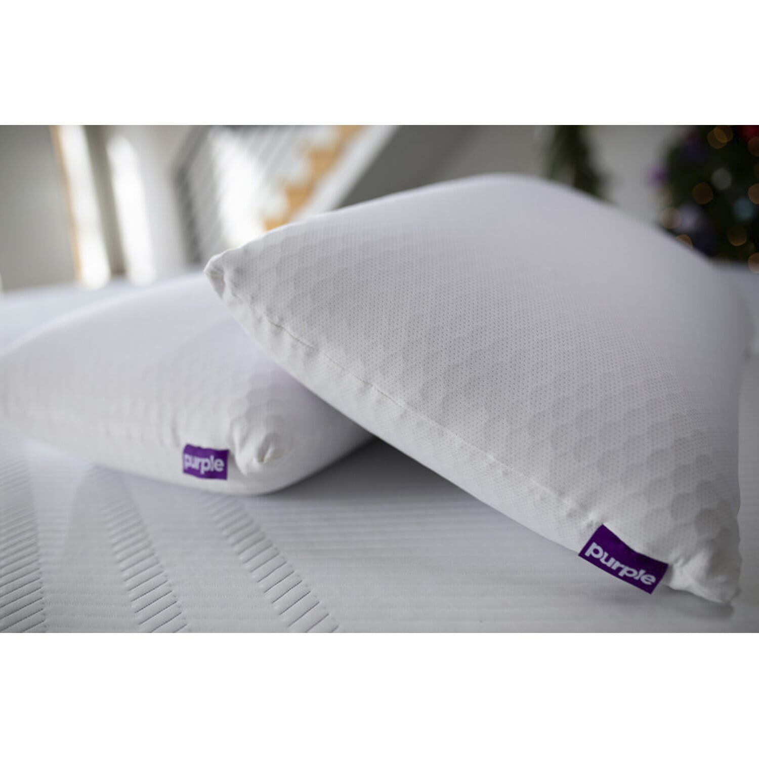 Purple Harmony popular Standard (Tall) pillow