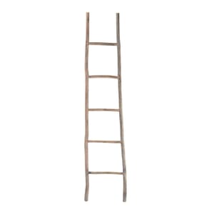 Whitewash Large Ladder