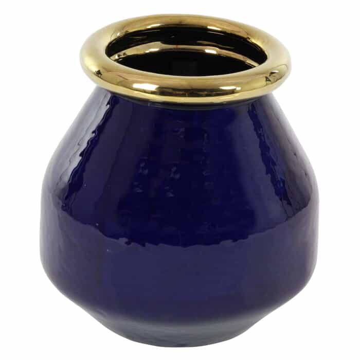 Blue Vase-Short