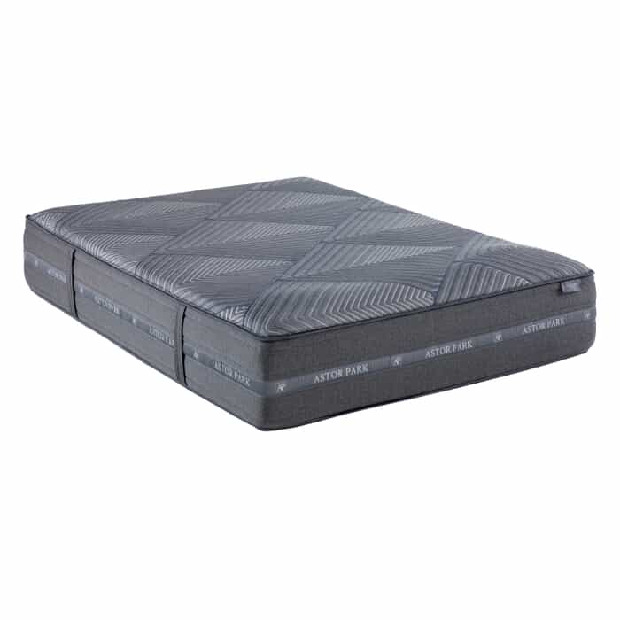 Astor Park Rosedale Plush King Mattress