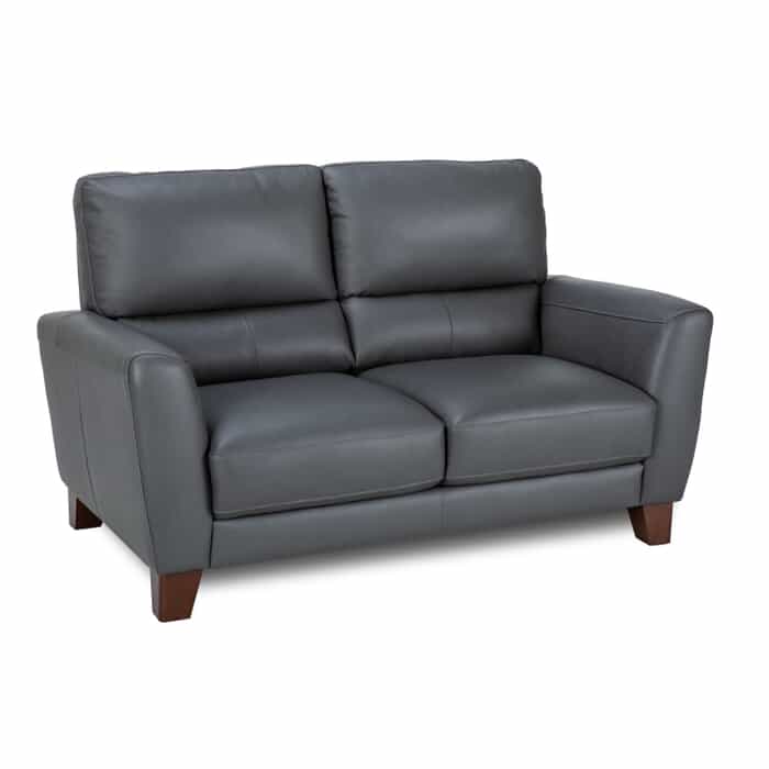 Chancy Charcoal Loveseat